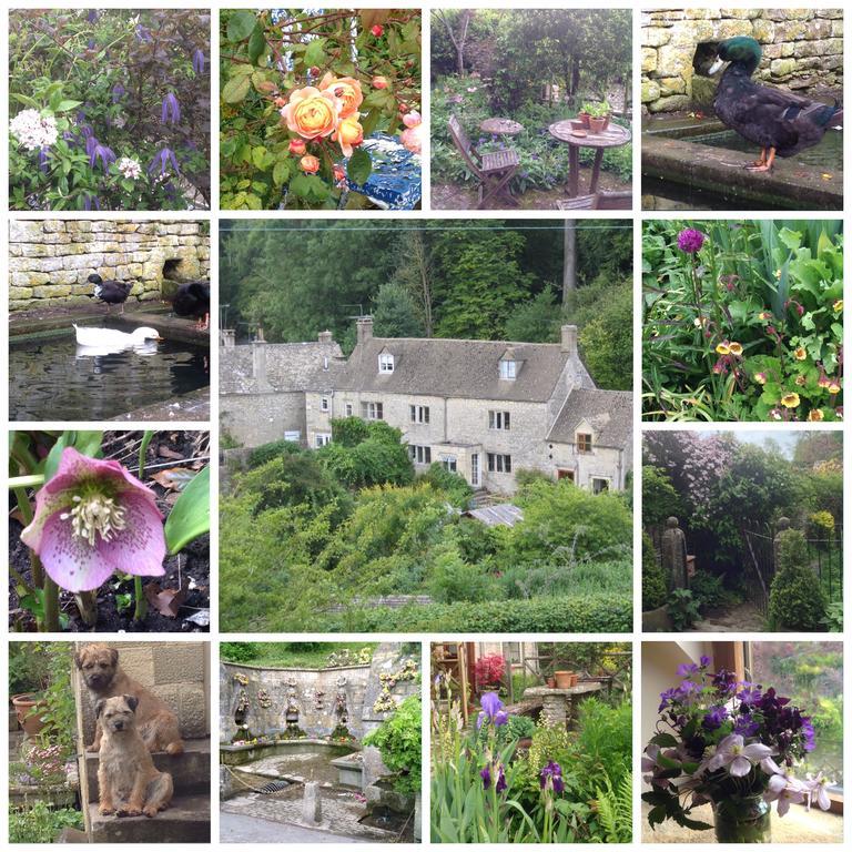 Dove Cottage Bisley (Gloucestershire) Exterior foto